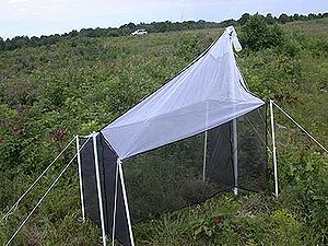 Malaise trap